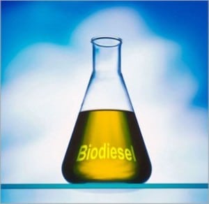 Choisir le biodiesel