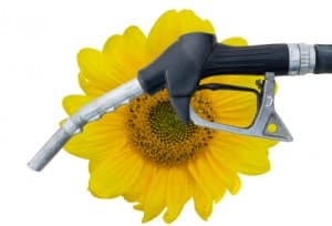 Biocarburant : la définition